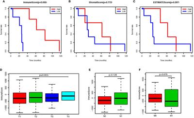 Prognostic Value of Genes and Immune Infiltration in Prostate Tumor Microenvironment